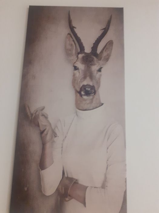 Tablouri animal face