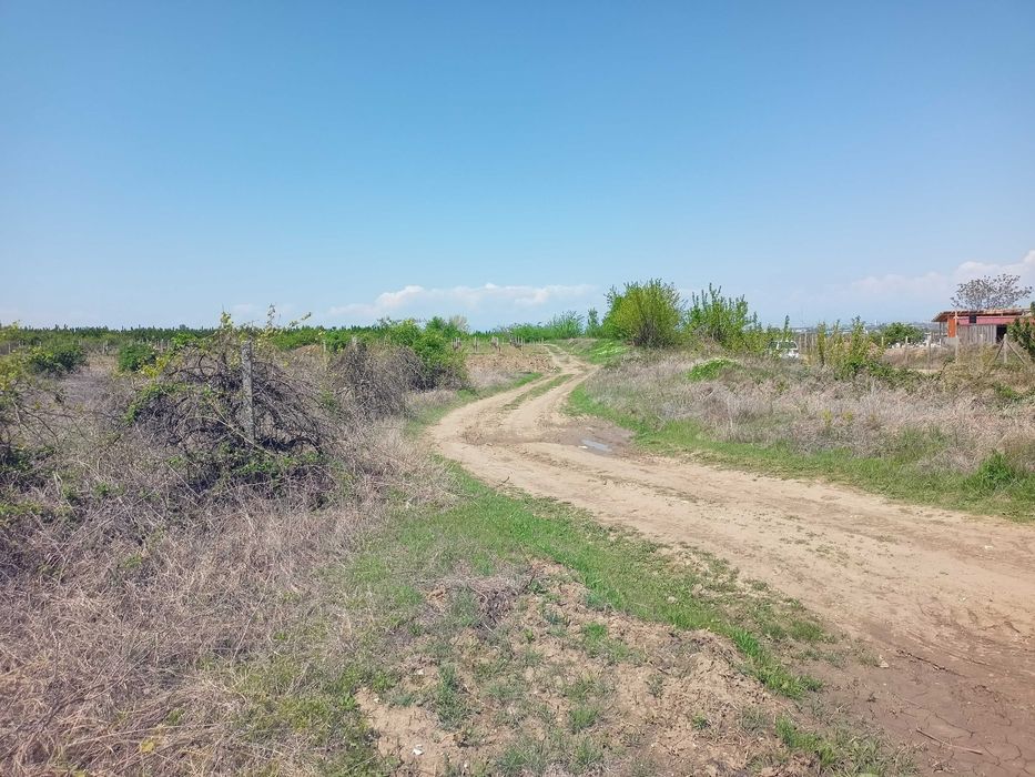 Продава се Земеделски имот в с. Брестник, Област Пловдив -  кв.м за 27000 €/дка - Снимка #9