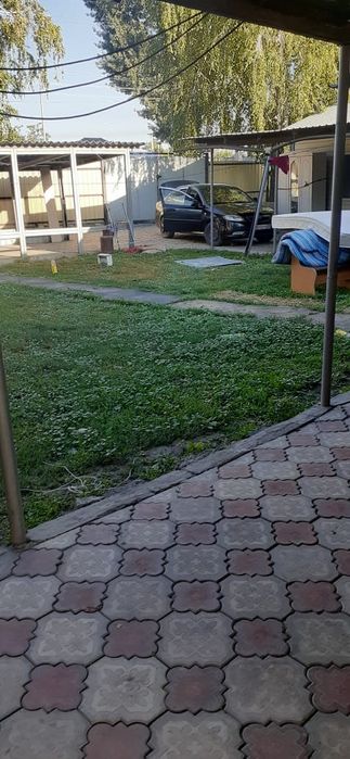 Уй сатамын Байсеркеде уй сатамын