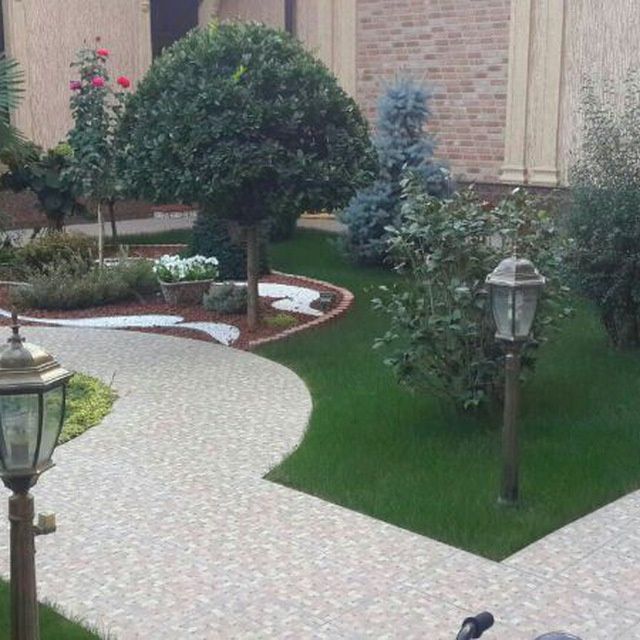 Landshafni gazon dizayn