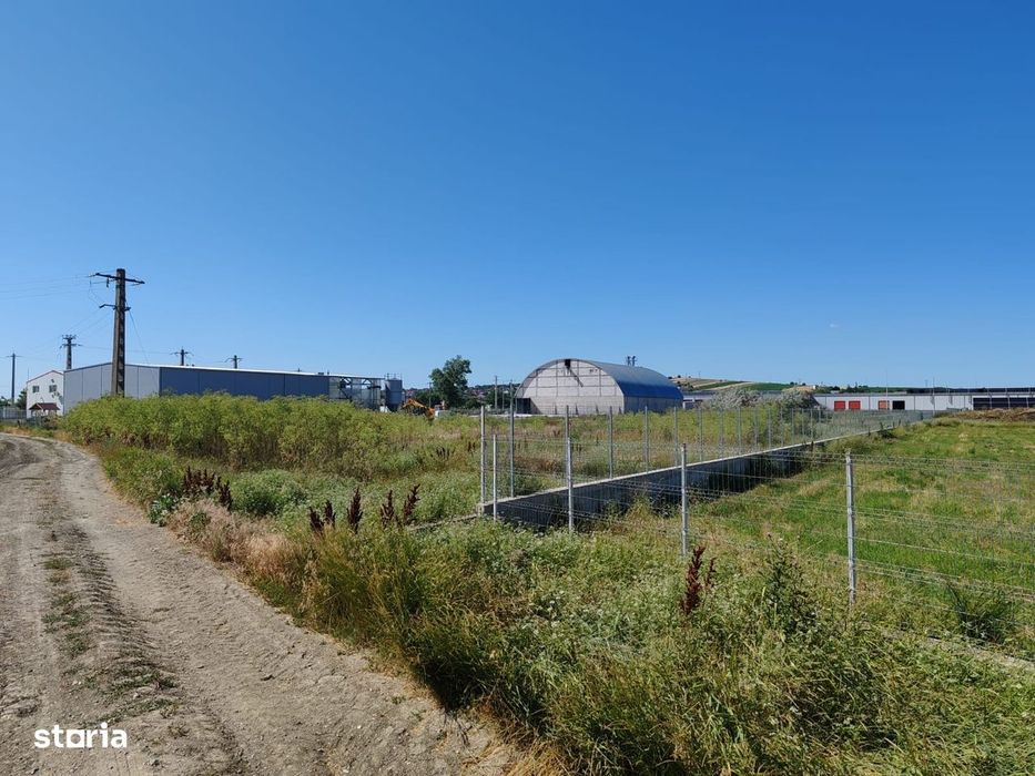 Persoană fizică, 5000mp, Letcani