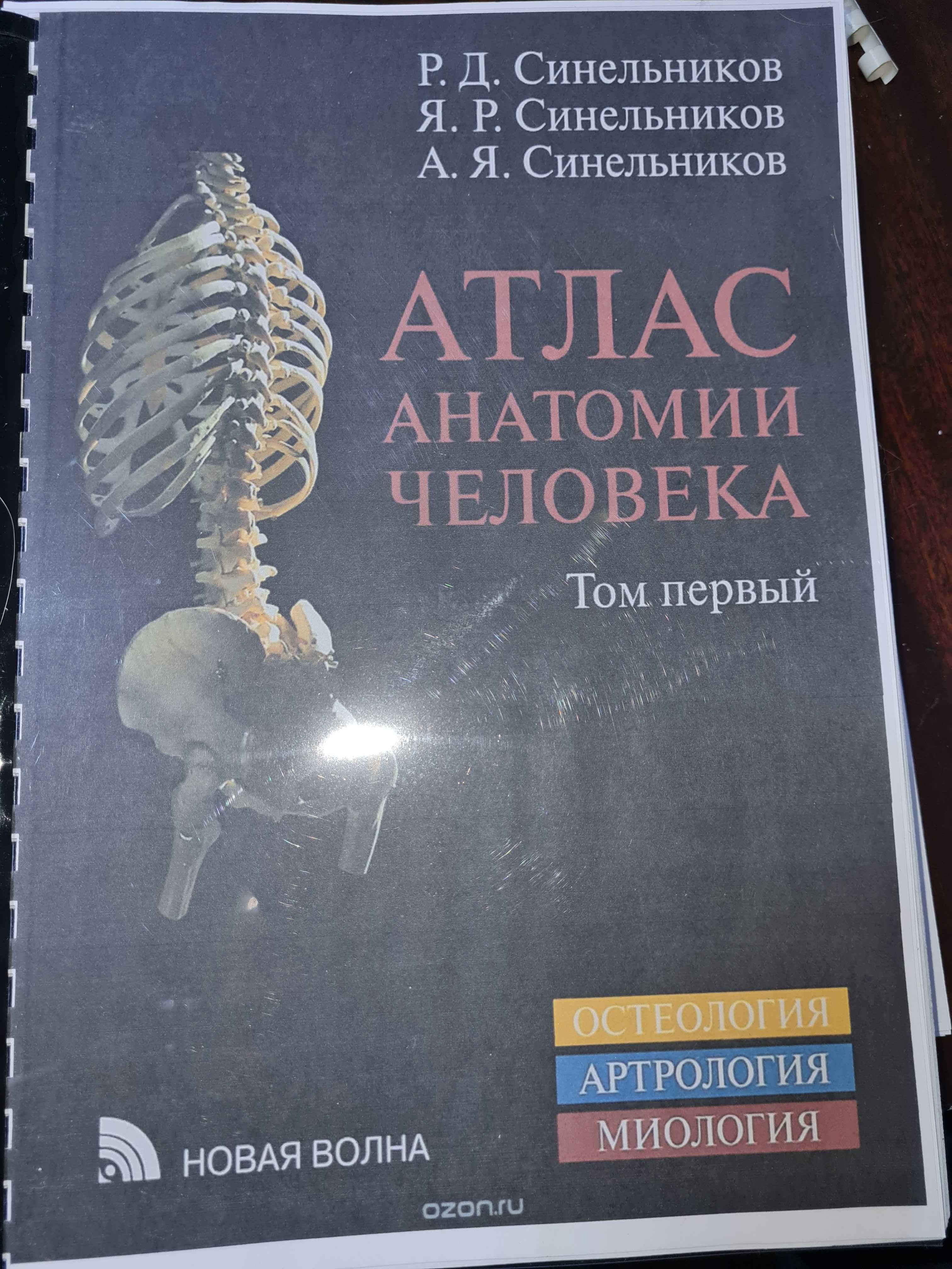 Анатомия Человека атлас в 4-х томах автор Синельников - Книги / журналы ...