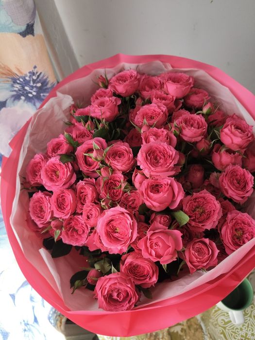 Гүл сатамын арзан бағаға. Продам цветы