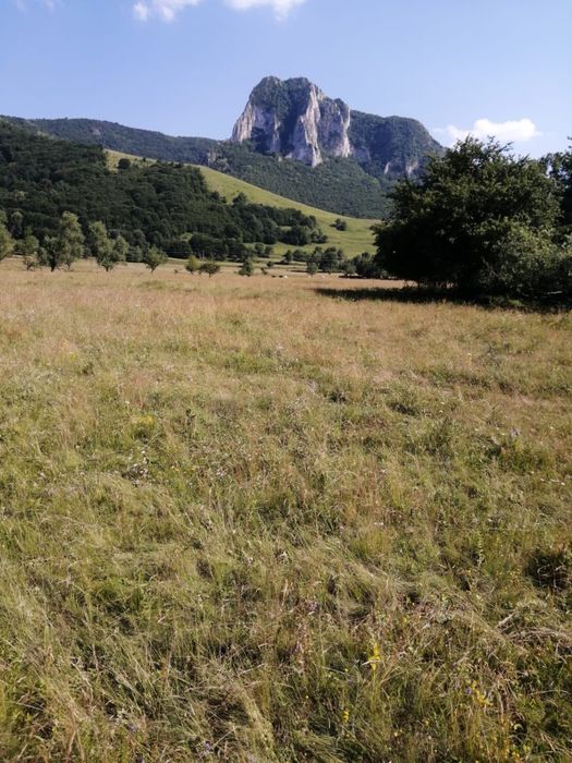 Vand teren in Rimetea