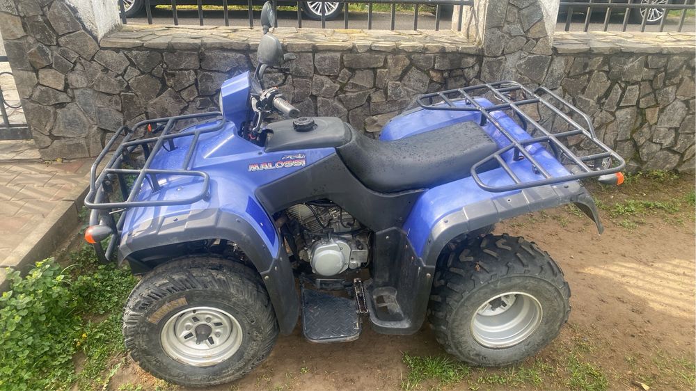 Loncin Malosii 2x4 schimb cu linhai 4x4
