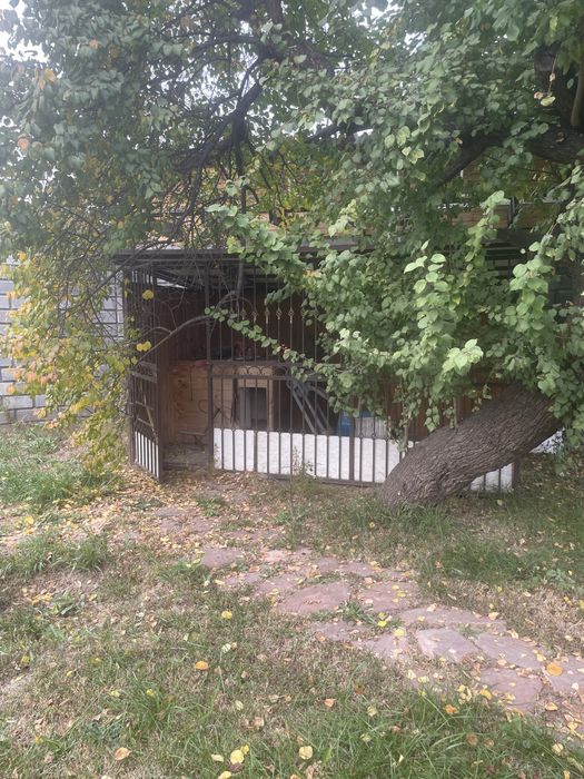 Вальер для собаки