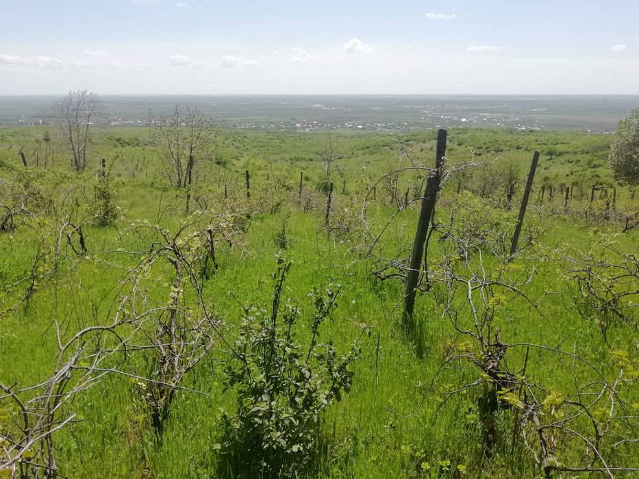 Teren Intravilan 1333m + Extravilan Total 7590m Valea Calugareasca