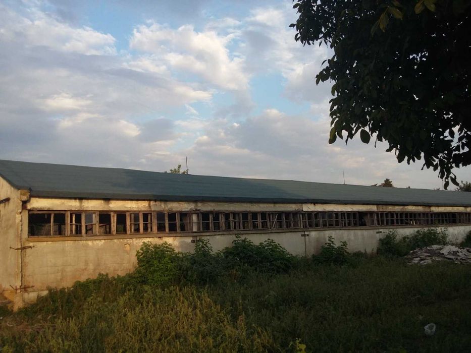 Продава се Склад в с. Нова Черна, Област Силистра - 975 кв.м за 105 €/кв.м - Снимка #2