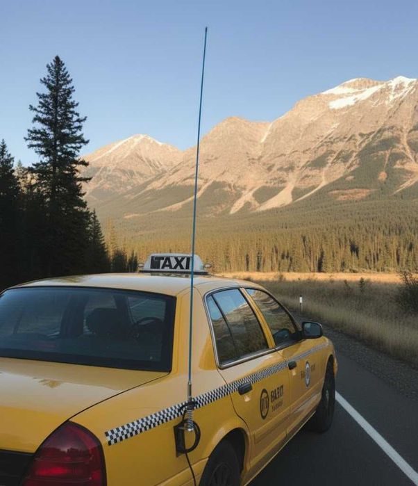 Регулируема Антена За Радео За Калник 90 150 или 210 см От Фибростъкло