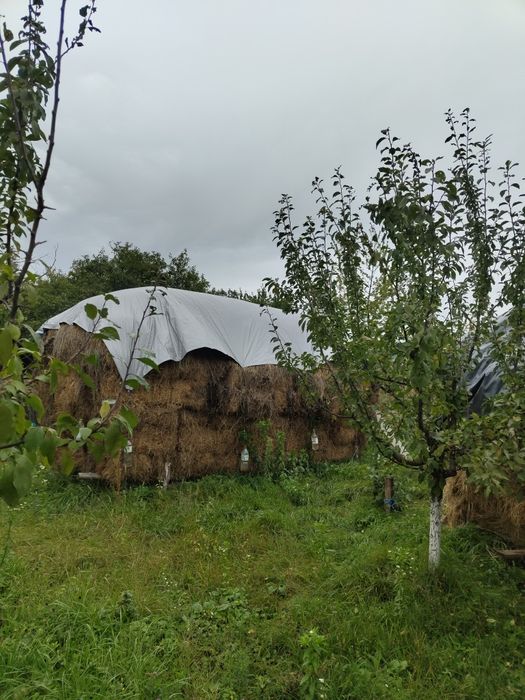 Baloți lucerna de vânzare