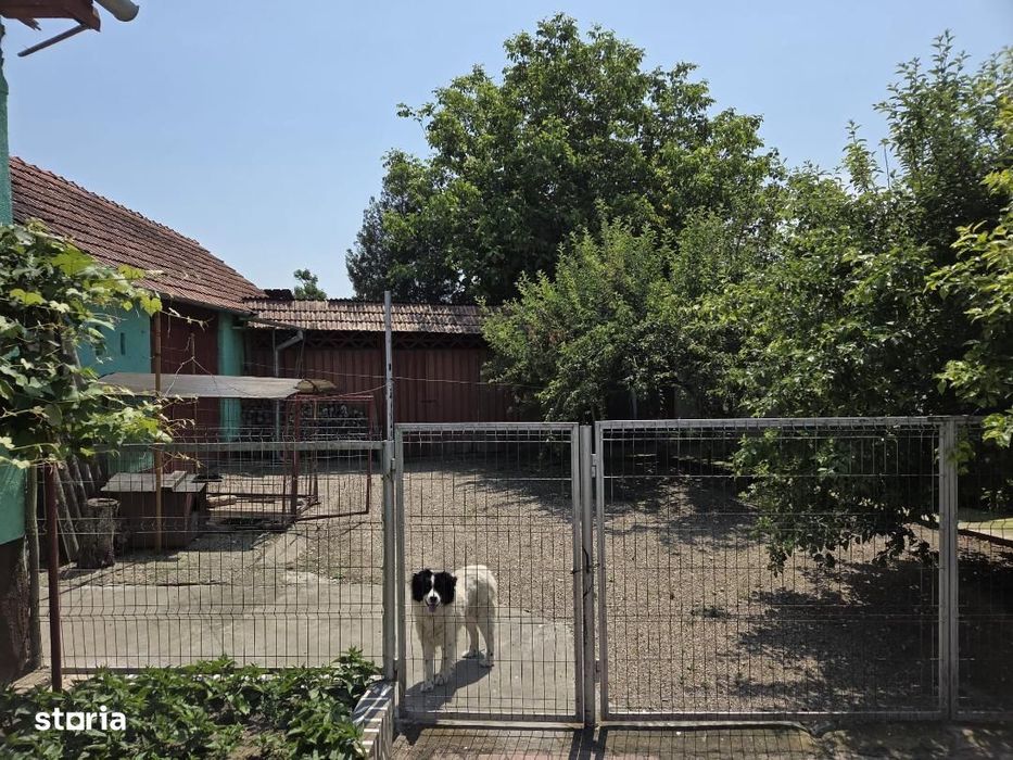 De vanzare Casa situata la 30 de Km de Alba Iulia.