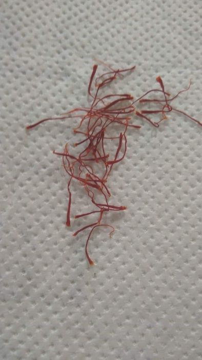 Продавам  Български шафран