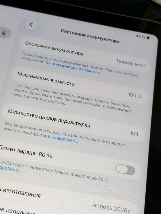 iPad 11 (A16) 128GB 100%