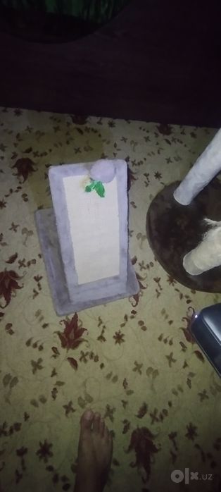 Кошкин дом, домики для кошек