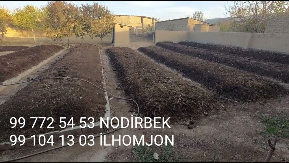 Biyogomus tabiy ozuqa optim narhlarda