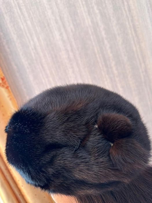 Норковые шапки для женщин