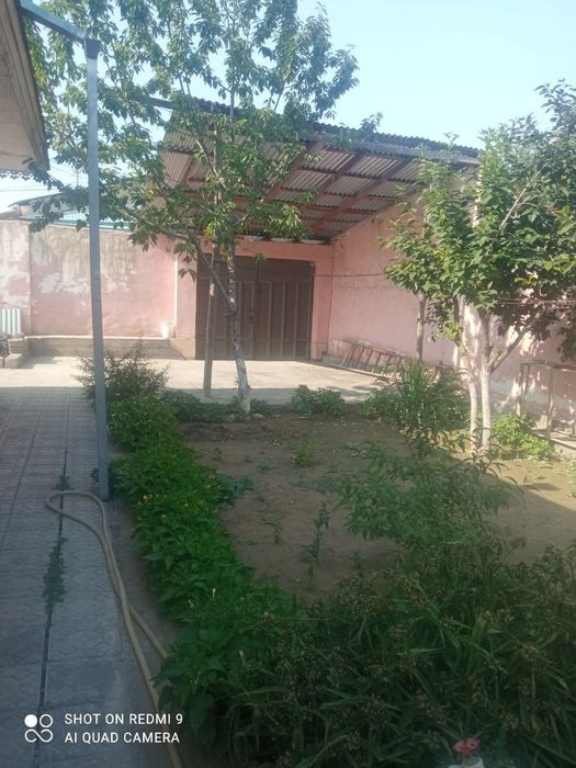 Xovli dokumentlarda muommo yoq