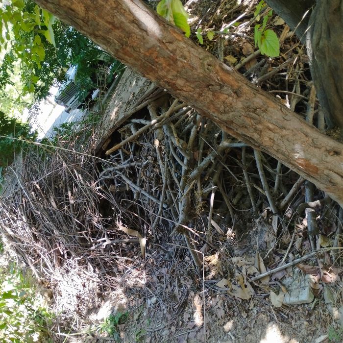 O'tin arzonga, har xil Yunusobod