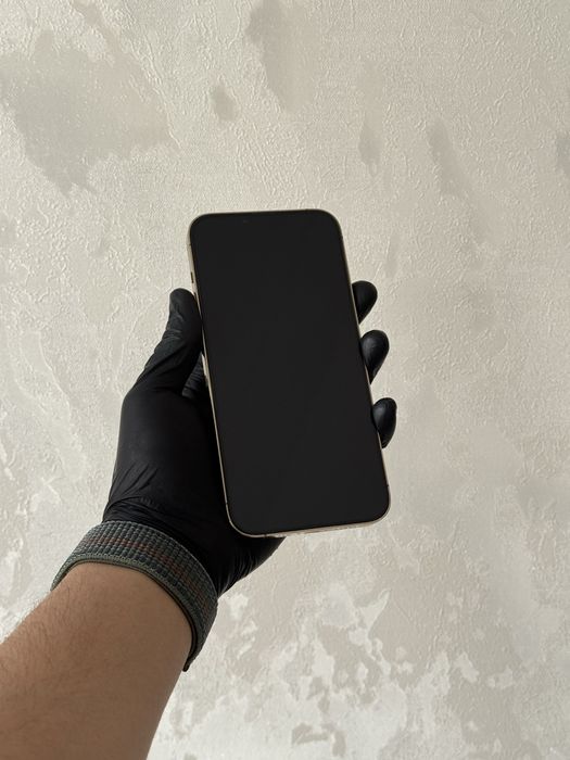 iPhone 13 Pro Max ideal