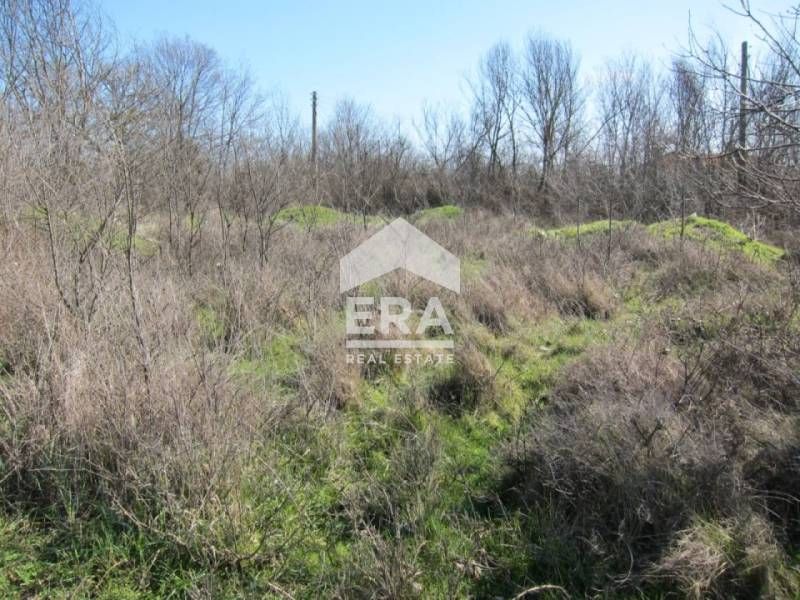 Парцел в село Кривня област Варна