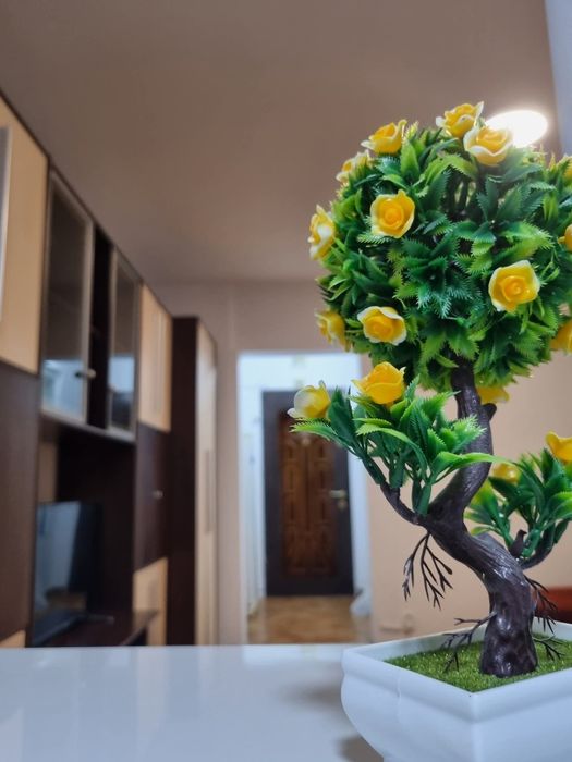 Închiriez garsoniera pe termen lung in  DEVA  zona centrala