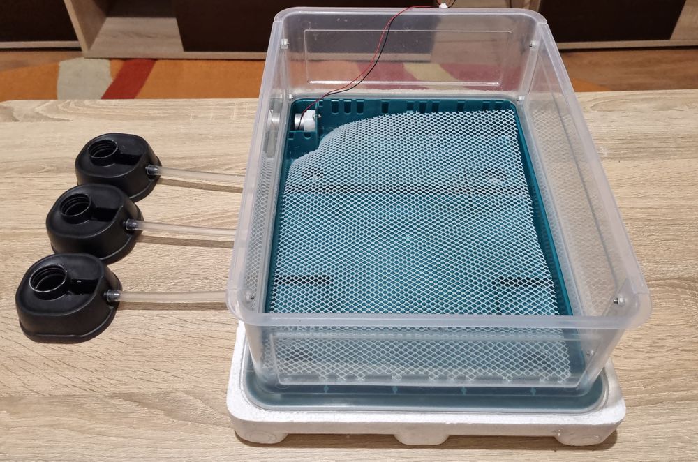 Incubator automat oua