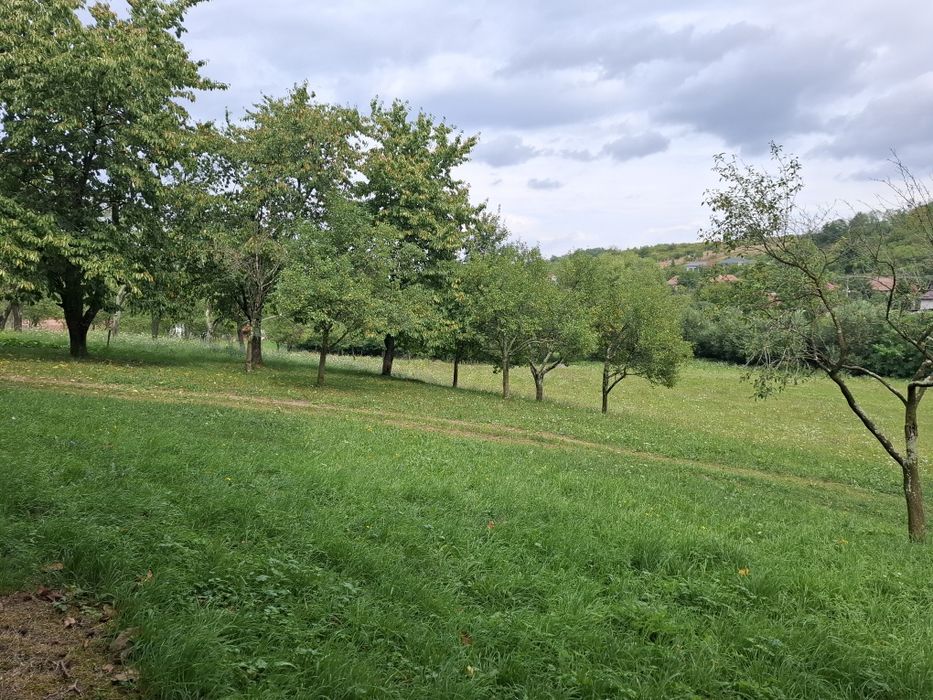 Teren intravilan Fetindia jud Sălaj