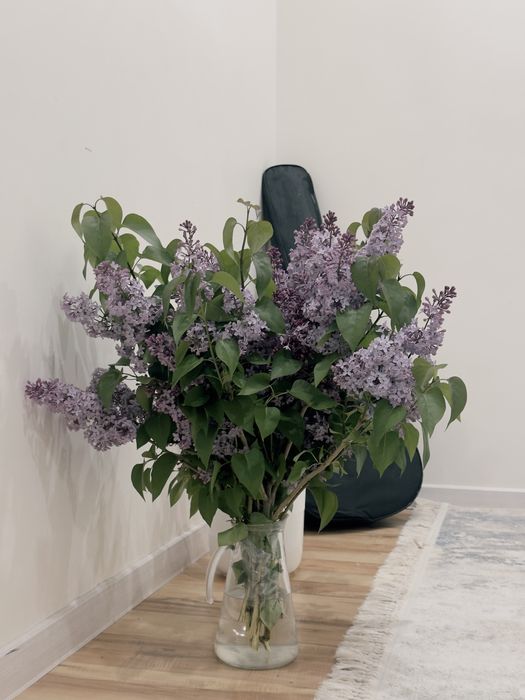 Сирен сатам бугн жулынған