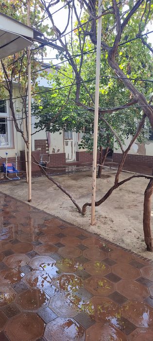 Kamolon 2,8 sotix xovli sotiladi