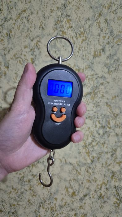 Багажные весы безмен до 50кг.