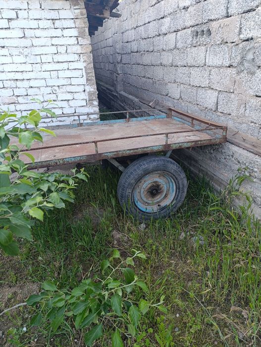 Арава сотилади кота