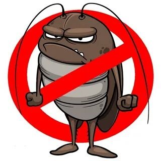 DEZINFEKSIYA klopa va tarakanga qarshi.