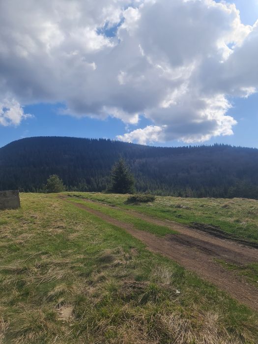 Продава се Земеделски имот в с. Давидково, Област Смолян -  кв.м за 15000 €/дка - Снимка #4