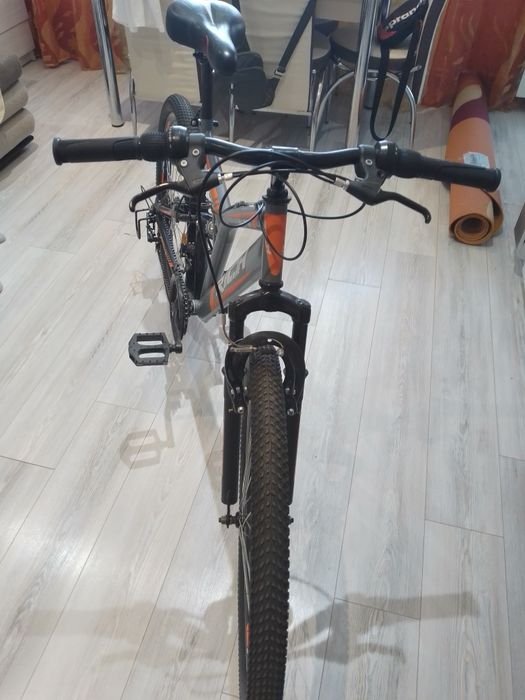 Bicicleta Rich Alpin
