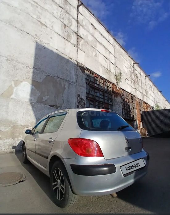 Промам Peugeot 307