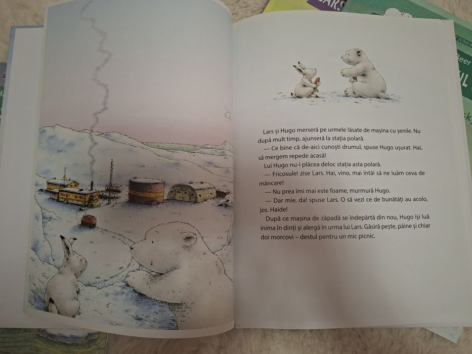 Colectia Lars, ursuletul polar