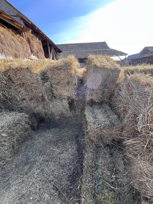 Vand  baloti de fân