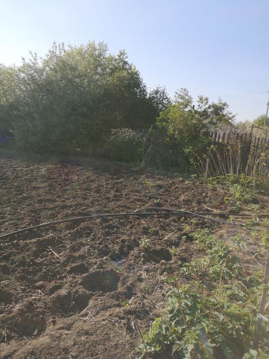 Продам дачу сад Мелиоратор