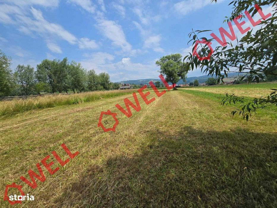 De vânzare teren extravilan în Barcani!