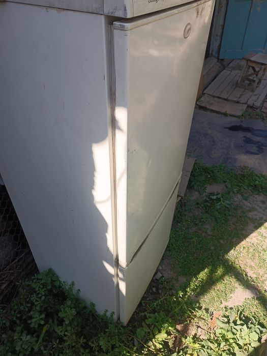 Холодильник snaige