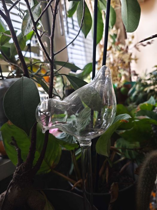 Декораративен напоител за сакксийни цветя - птица