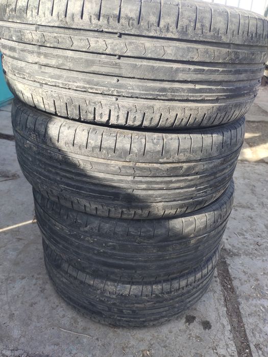 205 55 р16 летние