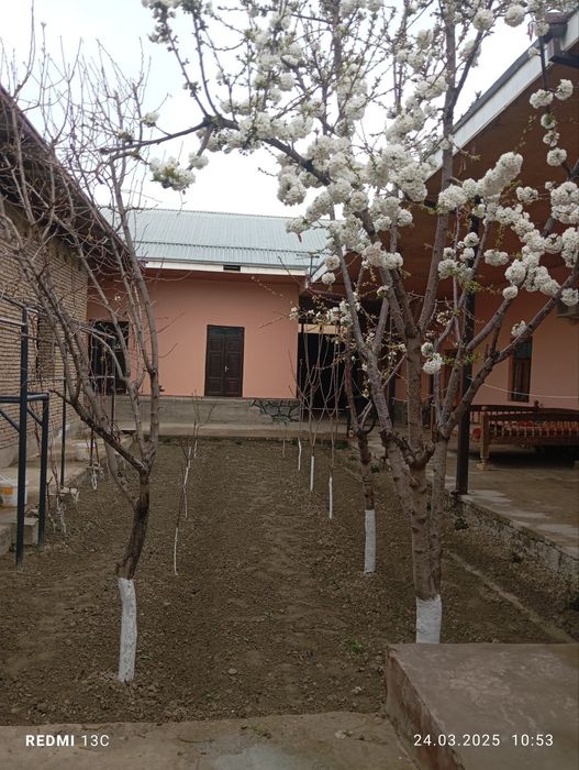 Умид Кургонида уй солади