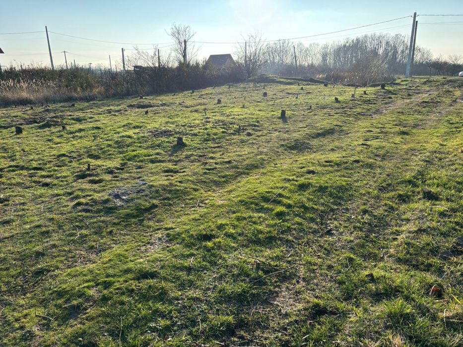 Vând Teren Moșoaia.