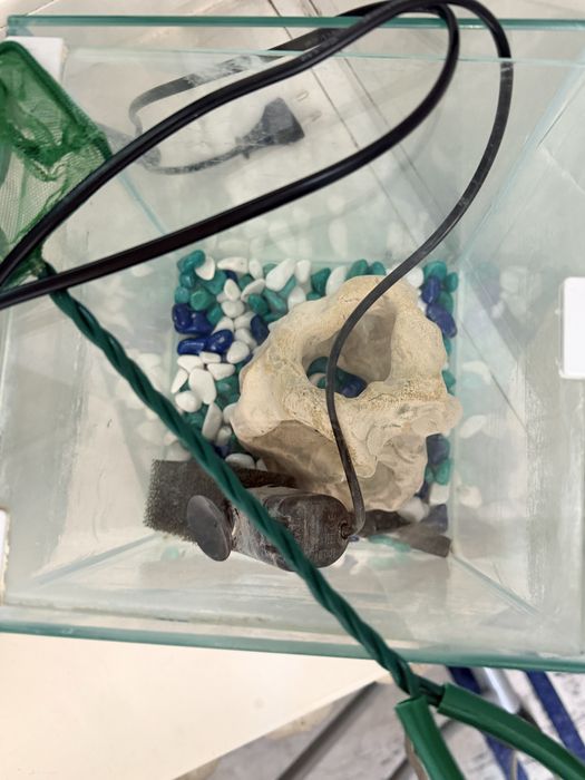 Аквариум для рыб