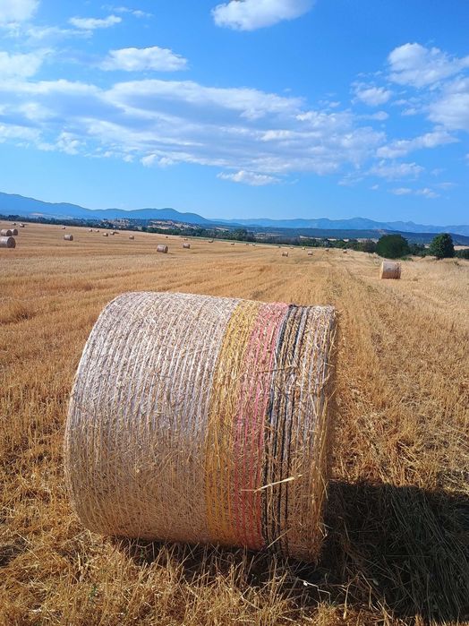 Рулонни бали ПРОСО със зърното