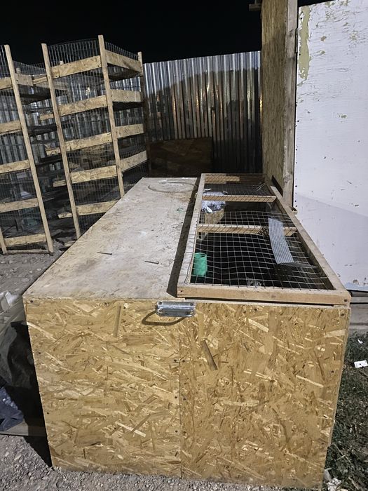 Бөдене , клеткасы сатылады .