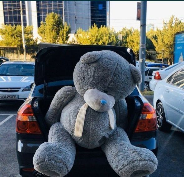 Ayiq Teddy тедди (30sm. 3metrgacha)