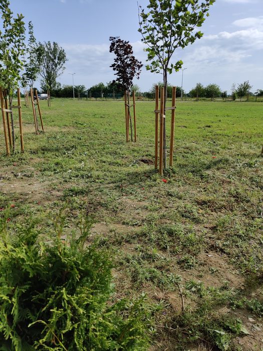 Професионално косене на трева и почистване на дворове