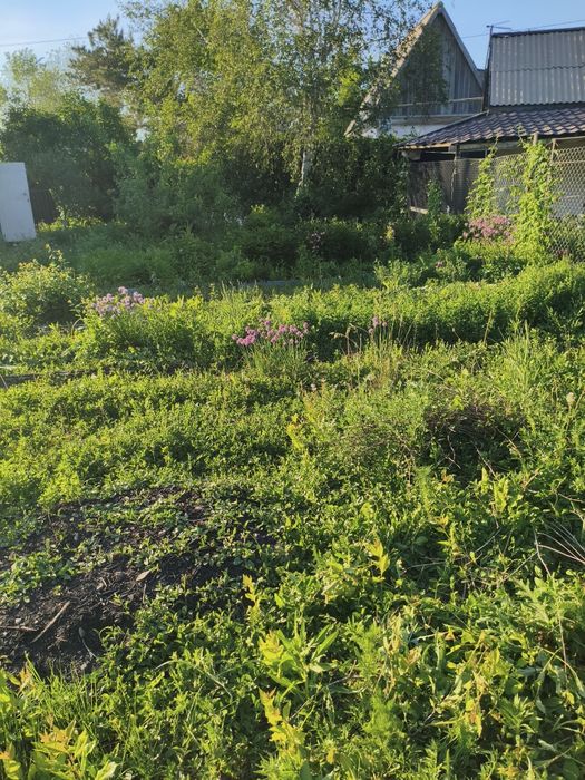 Продам дачу на Кривом Озере
